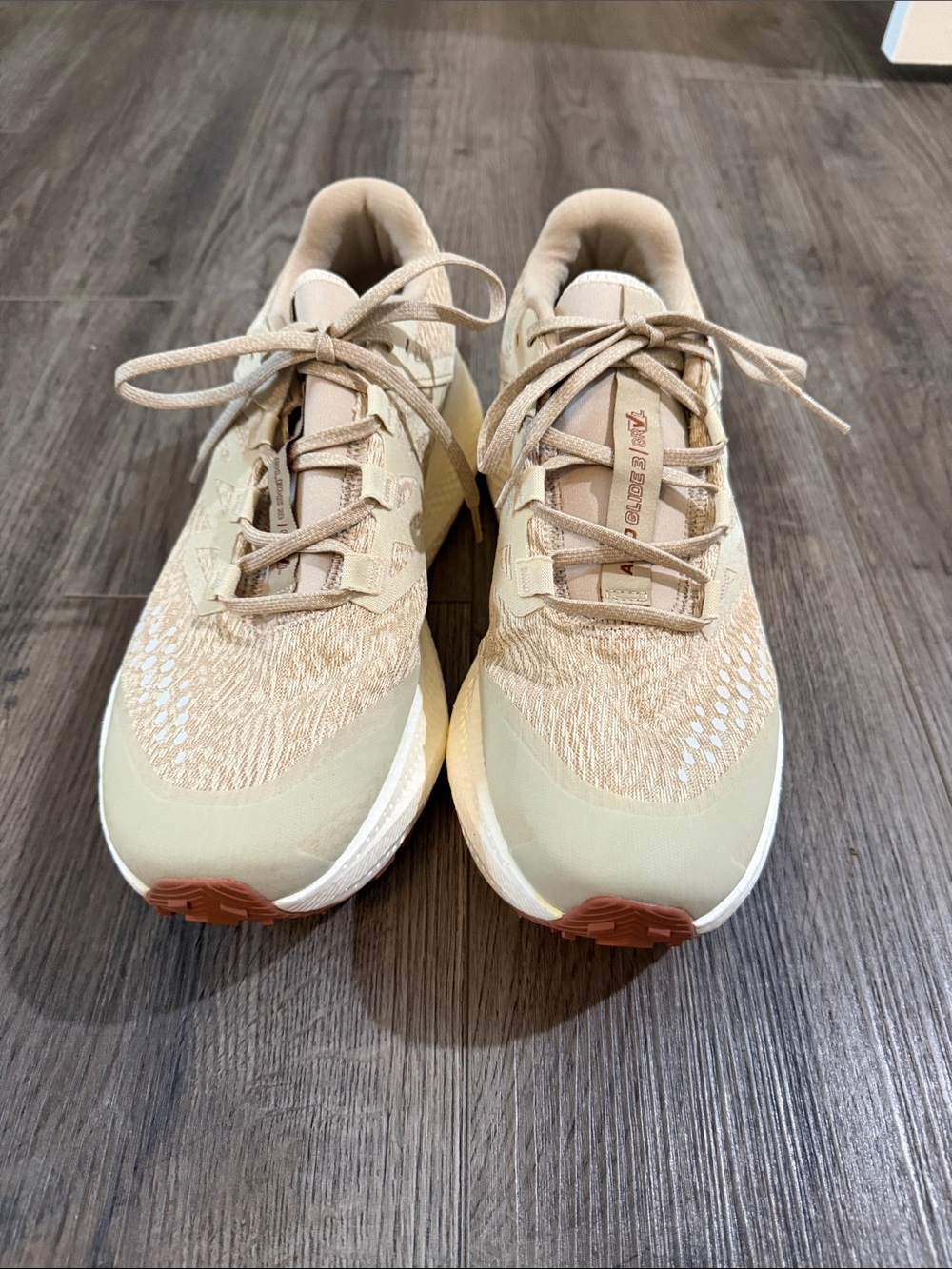 Salomon shoes